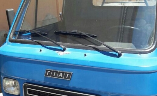 fiat coriasco 